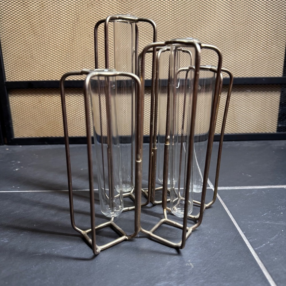 Hinged Test Tube Vase Set 5 Glass Tubes Brass Metal Frame Propagation Station